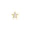 Gold Five-Point Star Barbell Single Earring